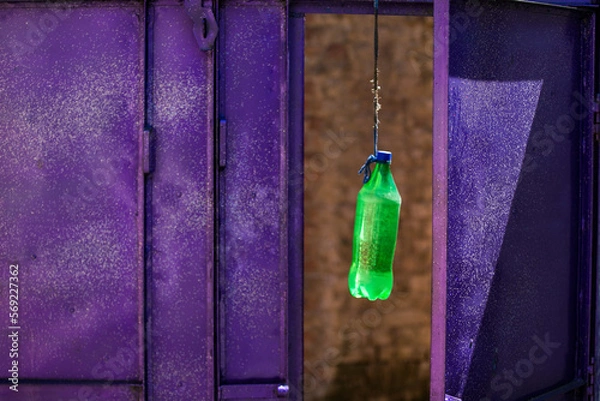 Obraz hanging bottle