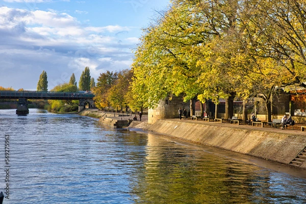 Obraz Rivera del río