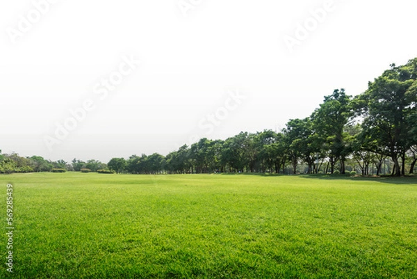 Obraz Green park, Transparent