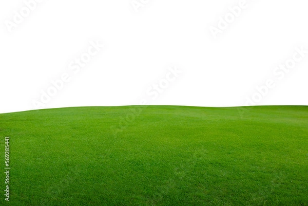 Fototapeta Green park, Transparent