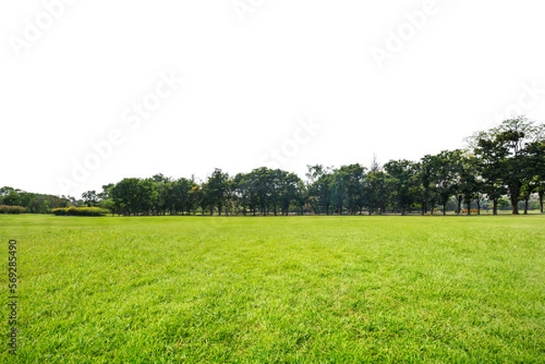 Fototapeta Green park, Transparent