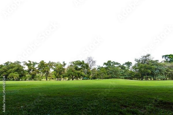 Fototapeta Green park, Transparent