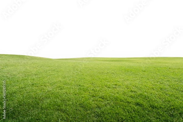 Fototapeta Green park, Transparent