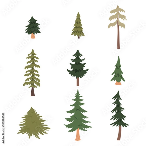Fototapeta Forest pine trees set. Vector illustration