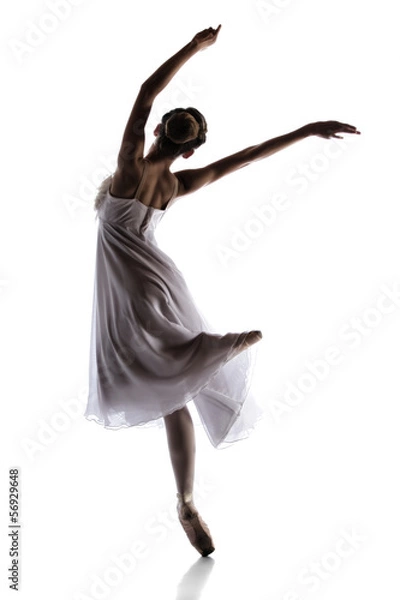 Obraz Female ballet dancer