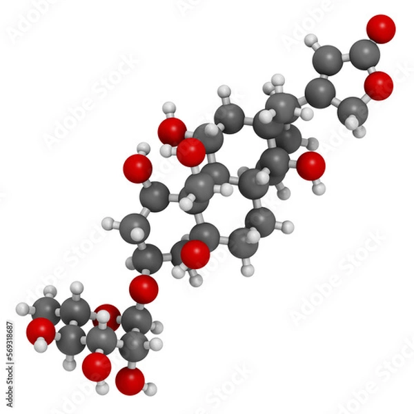 Fototapeta Ouabain poison molecule. 3D rendering.