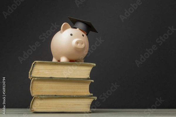 Fototapeta Piggy bank and book. College fees saving concept, copy space for text
