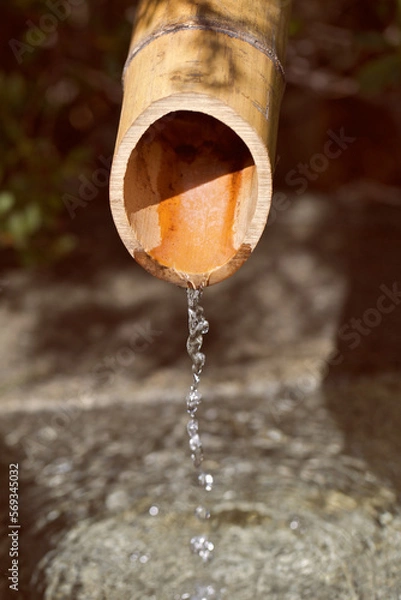 Obraz water dripping out of a bamboo reed into fountain in the full sun.