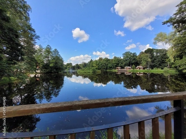 Obraz lake and forest