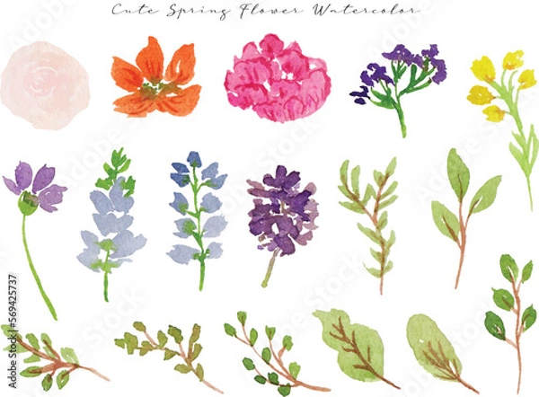 Fototapeta a set of colorful spring wild flower and leaf watercolor