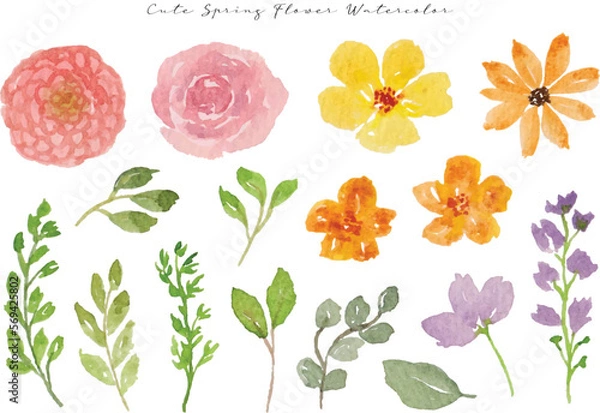 Fototapeta set of colorful spring wild flower and leaf watercolor