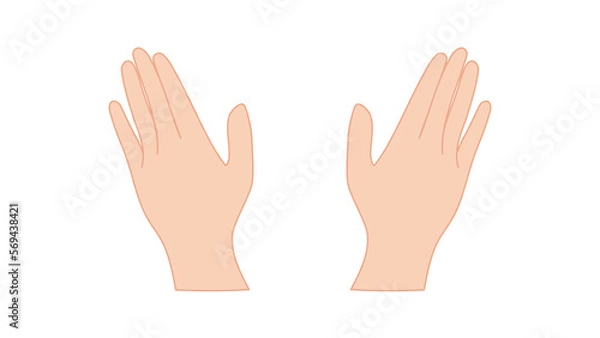Fototapeta シンプルな右手と左手　両手　ボディーパーツ