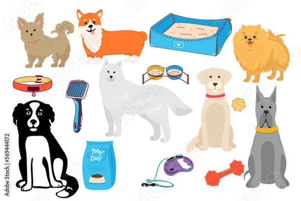Obraz Dogs collection. Vector illustration of funny cartoon different breeds dogs in trendy flat style. Isolated on white.