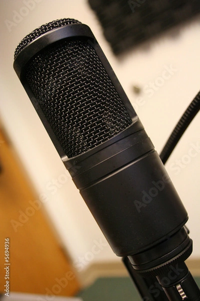 Obraz Microphone