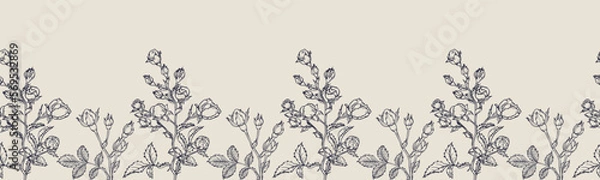 Fototapeta Vector horizontal seamless border with hand drawn Rose Flower. Eps 10. Line-art botanical illustration. Floral backdrop