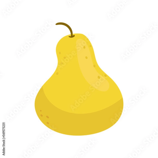 Obraz pear fruit illustration