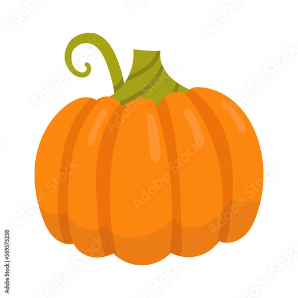 Fototapeta pumpkin fruit illustration