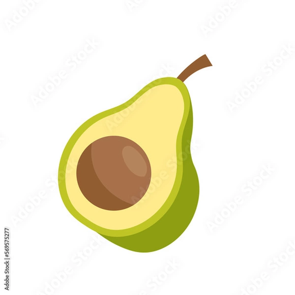 Obraz avocado fruit illustration