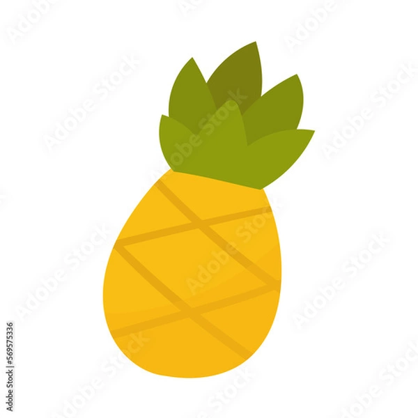 Obraz pineapple fruit illustration