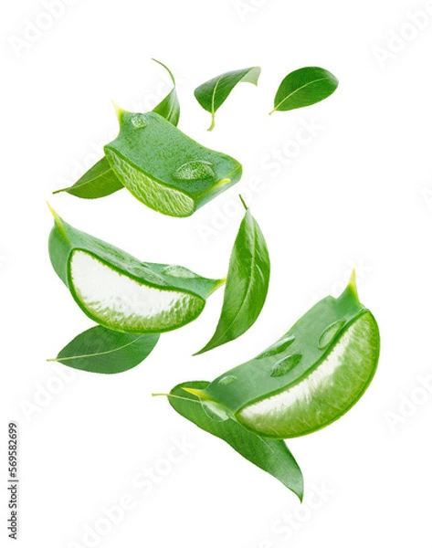 Obraz Composition of flying tea leaves and aloe vera slices