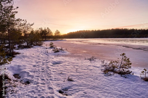 Obraz sunset in winter