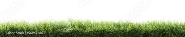 Fototapeta Green grass. Strip of grass side view. 3d