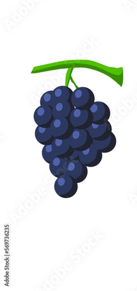 Fototapeta grapes on a white background