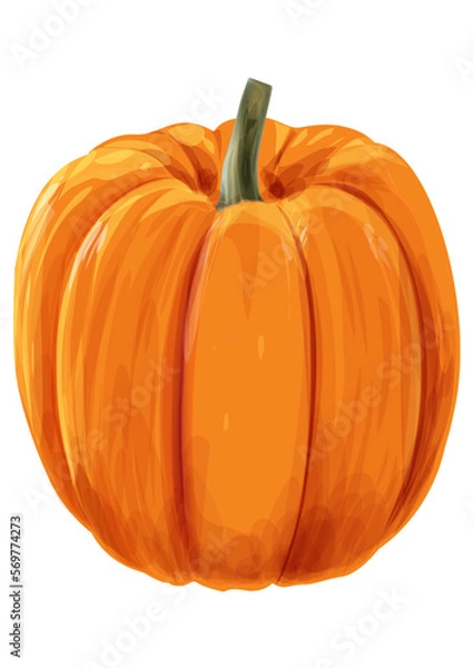 Fototapeta pumpkin