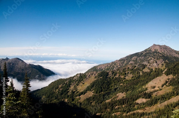 Obraz Mountains and clouds in Olympic National Park