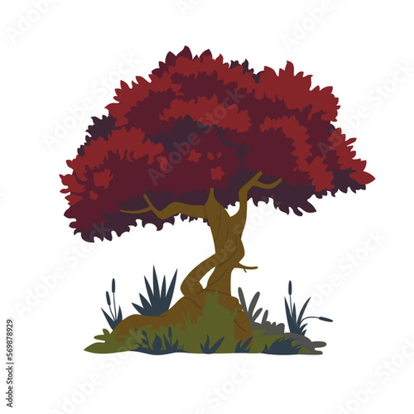 Obraz tree with a beautiful crown grows in a marshy area. Vector illustration isolated on white background