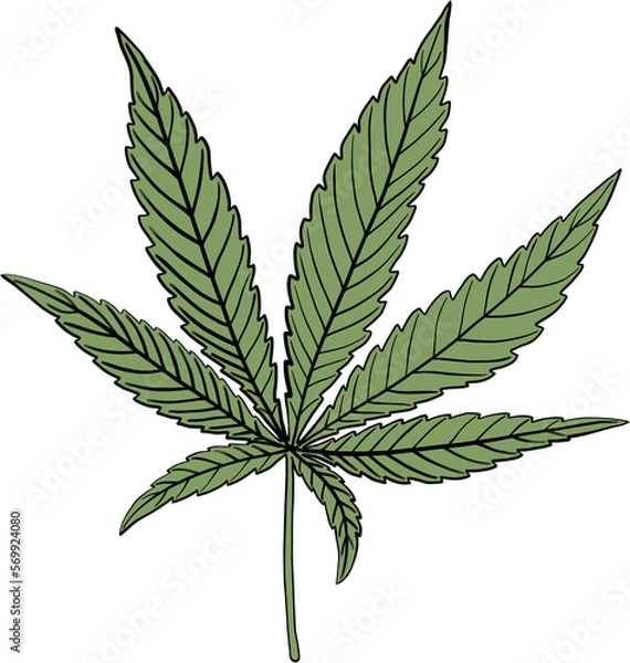 Obraz simplicity cannabis leaf freehand drawing