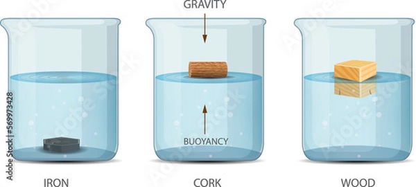 Obraz Archimedes Principle Density and Buoyancy