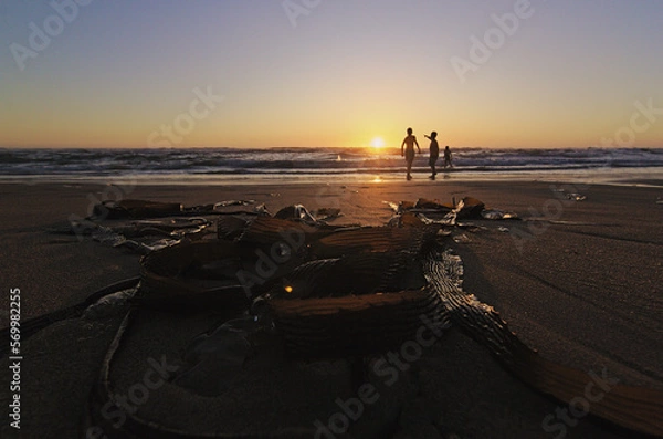 Obraz niños y sus padres corriendo hacia el mar al atardecer