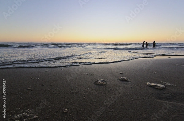 Obraz playa con medusas y personas en el agua
