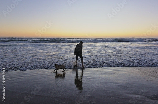 Obraz hombre jugando con su perro pug en la orilla del mar mientras esta la puesta de sol