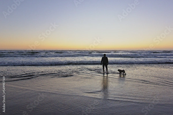 Obraz hombre jugando con su perro pug en la orilla del mar mientras esta la puesta de sol