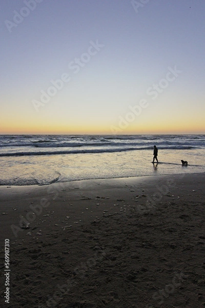 Obraz hombre jugando con su perro pug en la orilla del mar mientras se pone el sol