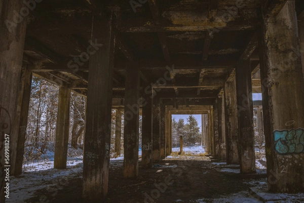 Fototapeta Ruins of an old hydroelectric power station. Poland.
