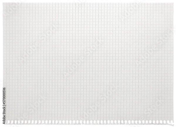 Obraz Checked spiral notebook page paper background, old aged white chequered ring binder sheet flat lay A4 copy space, isolated horizontal grey squared pattern maths notepad, torn out stapled blank empty