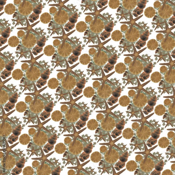 Fototapeta pattern seashell, decoration, pattern wallpaper