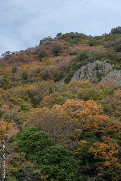 Fototapeta 寒霞渓