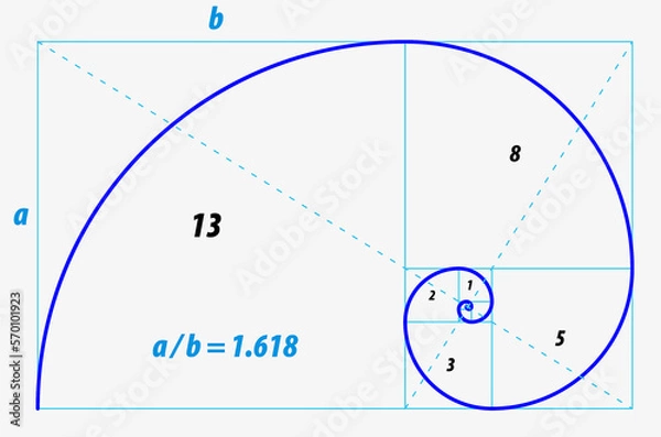 Fototapeta fibonacci ratio divine proportion isolated - 3d Illustration