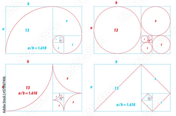 Fototapeta fibonacci ratio divine proportion isolated - 3d Illustration