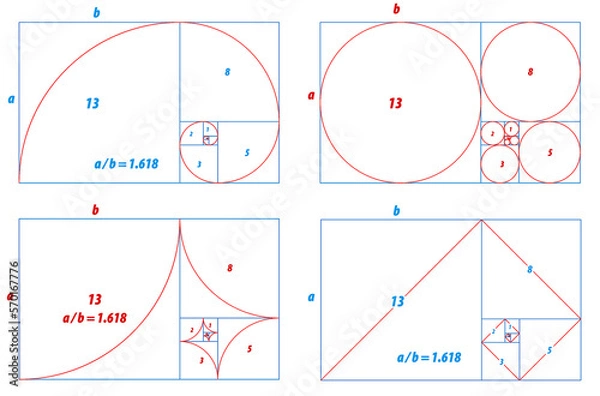 Fototapeta fibonacci ratio divine proportion isolated - 3d Illustration