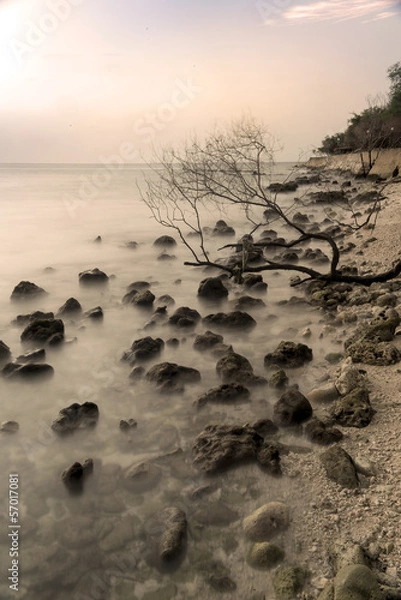 Obraz Indian Ocean Coast