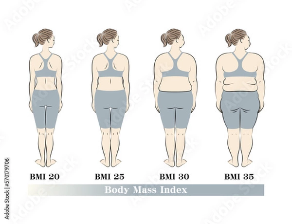 Fototapeta 若い美人女性の後ろ姿 BMI(ボディマスインデックス) 指数別の体型の一覧 イラスト ベクター