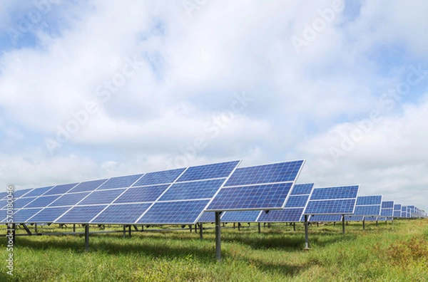 Obraz Rows array of   Solar cells or solar module or solar panels in solar power plant turn up skyward absorb the sunlight from the sun use light energy to generate electricity 