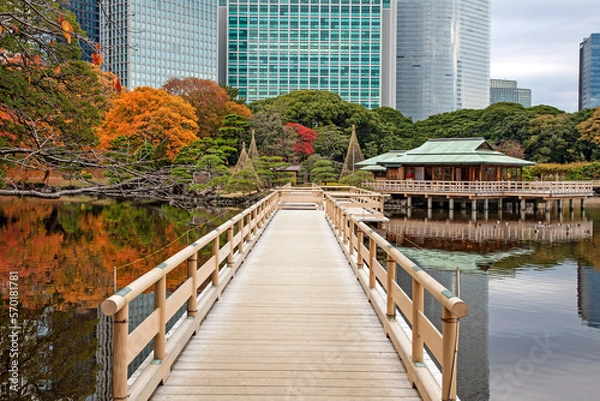 Obraz 浜離宮恩賜庭園,お伝い橋,中島の御茶屋,紅葉