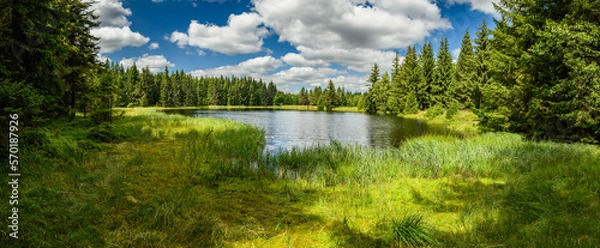Obraz Mountain Lake w Forest Panorama