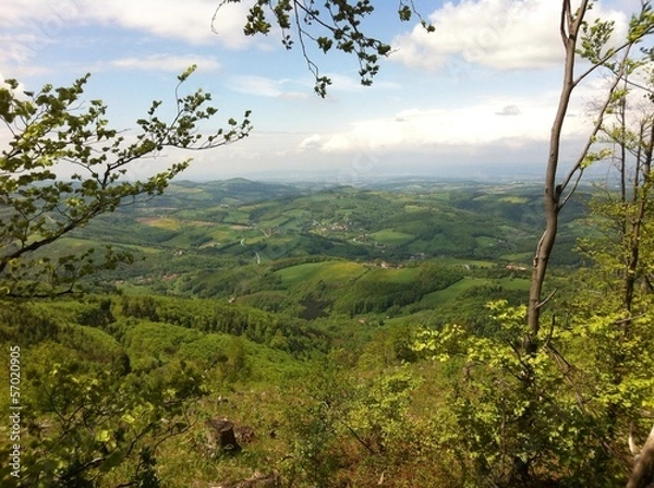 Obraz wienerwald